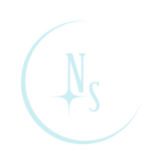 Nocturnowl studio small logo